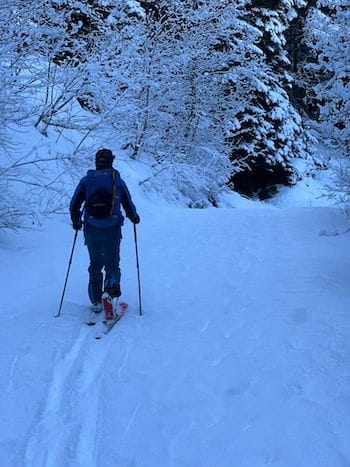 Skieur de randonnée progressant dans la neige fraîche en forêt dans les Pyrénées – Bureau des guides de Font-Romeu.