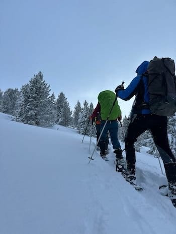 Groupe en randonnée raquettes évoluant dans la neige en direction des sapins enneigés dans les Pyrénées-Orientales. Groupe en randonnée raquettes évoluant dans la neige en direction des sapins enneigés dans les Pyrénées-Orientales.